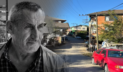 Kestane toplamak için gittiği ormanda öldü